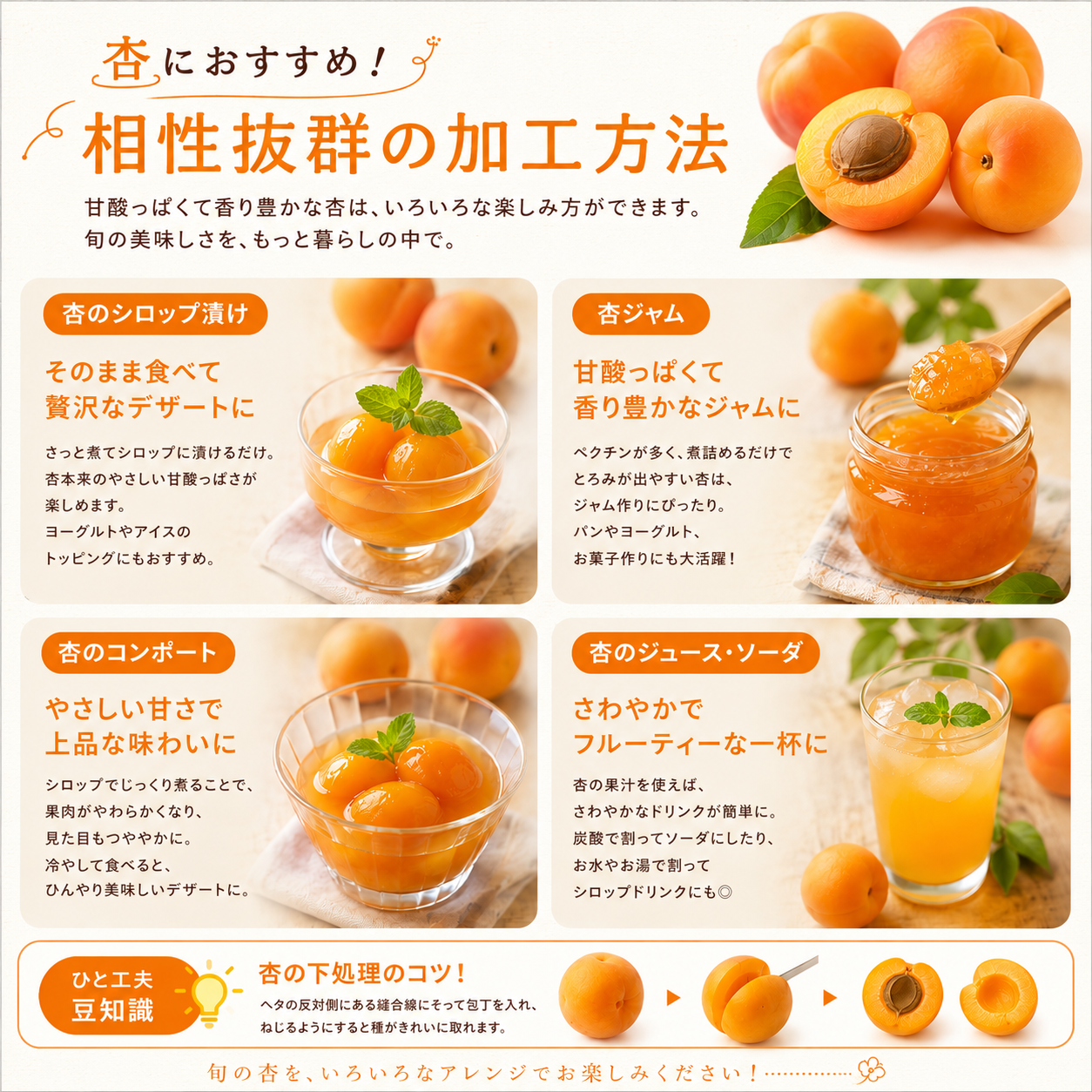 加工用 杏 「信州大実」 信州産