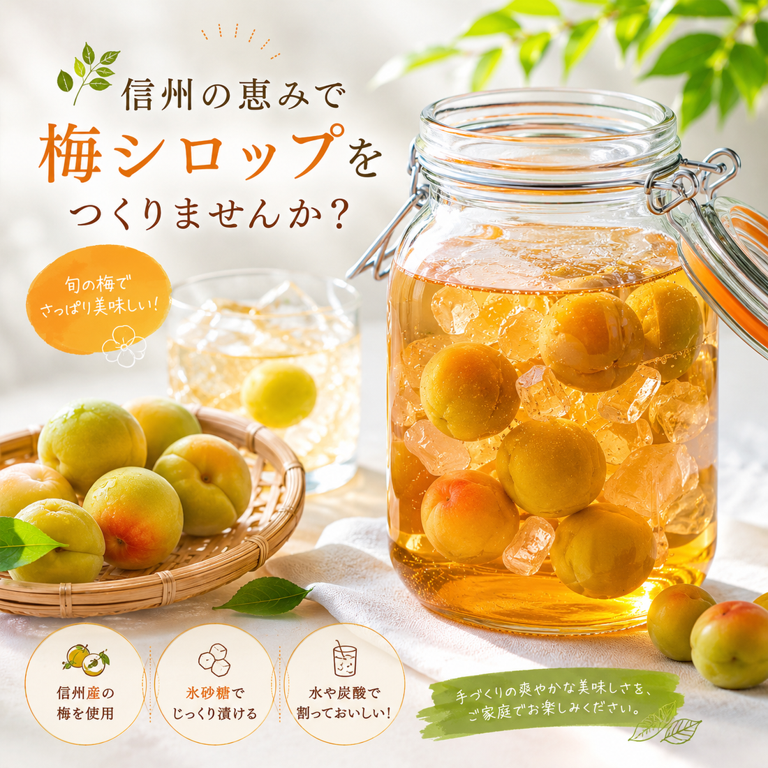 梅シロップ