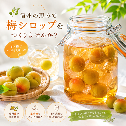 梅シロップ