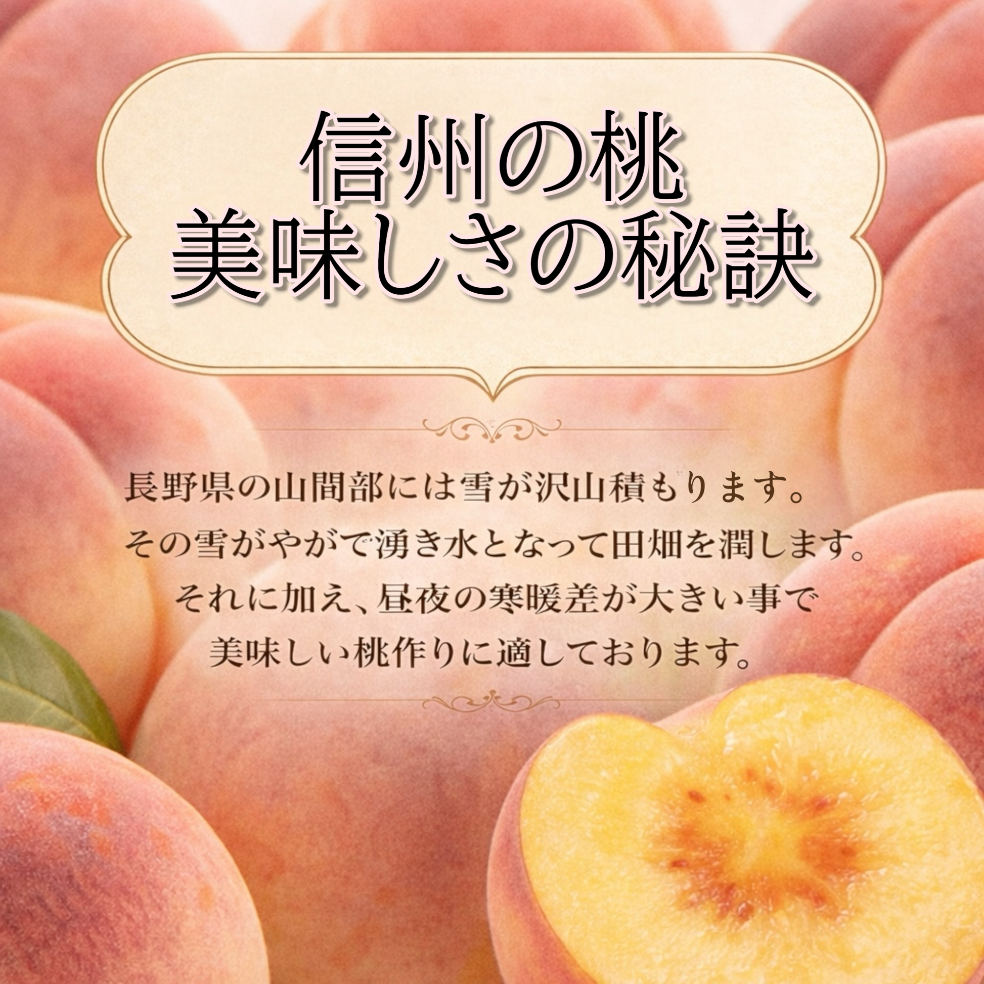 信州産 ワッサー 家庭用 4枚目
