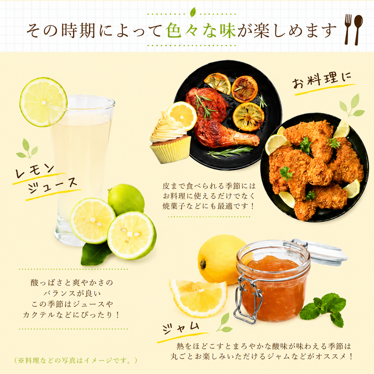 【国産】レモン