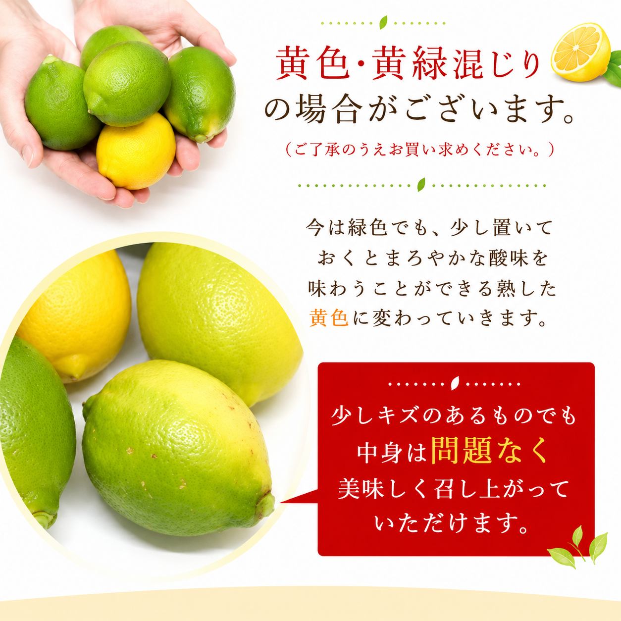 【国産】レモン