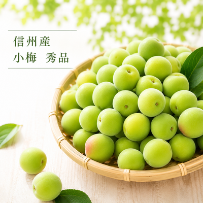 信州産 青梅 小梅 秀品