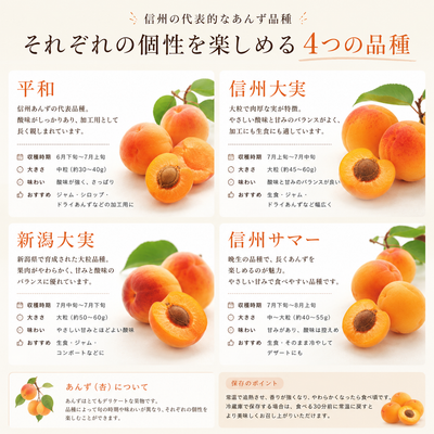 加工用 杏 「品種お任せ」 信州産