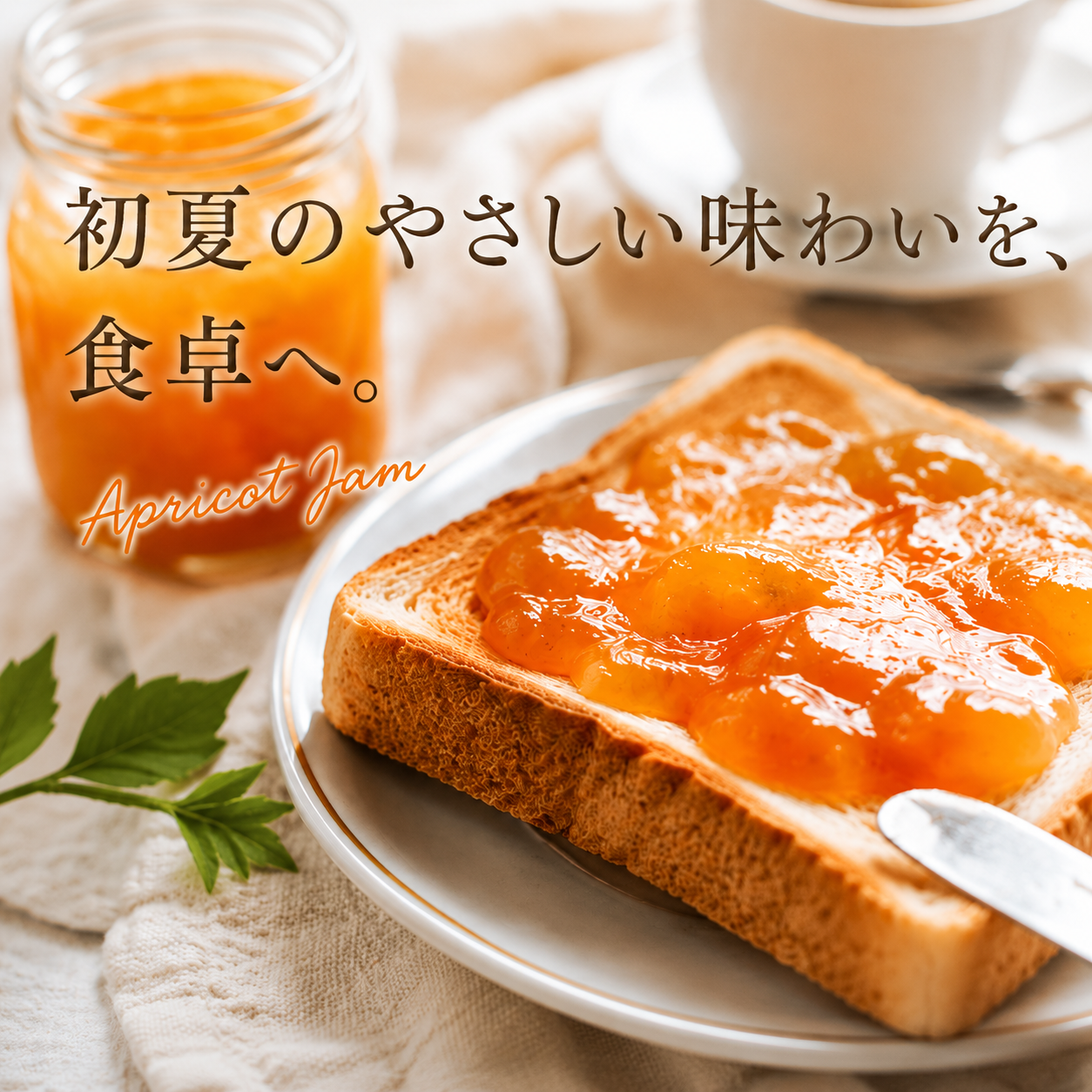 加工用 杏 「信州大実」 信州産