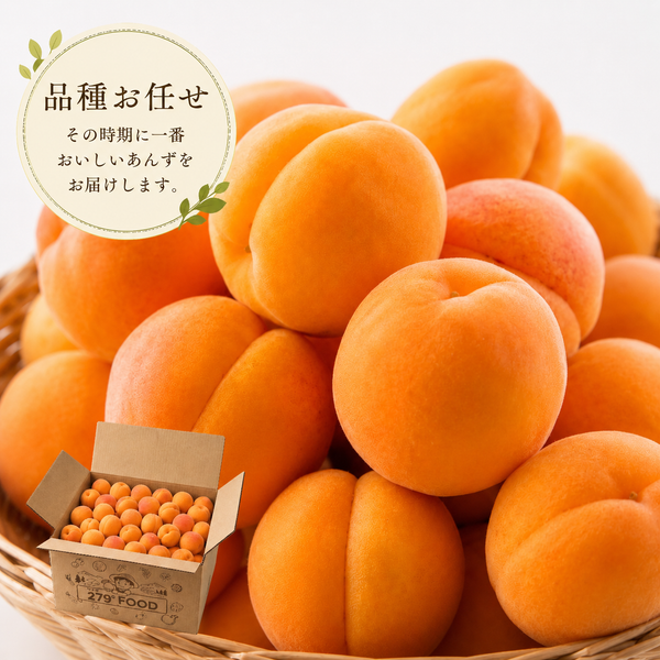 加工用 杏 「品種お任せ」 信州産