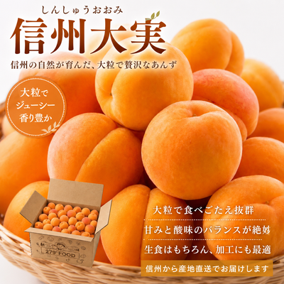加工用 杏 「信州大実」 信州産