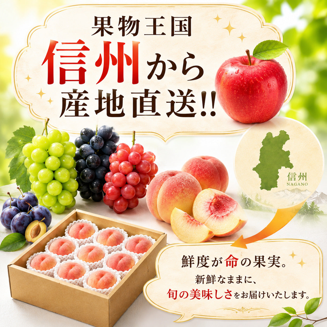 家庭用 ワッサー 信州産