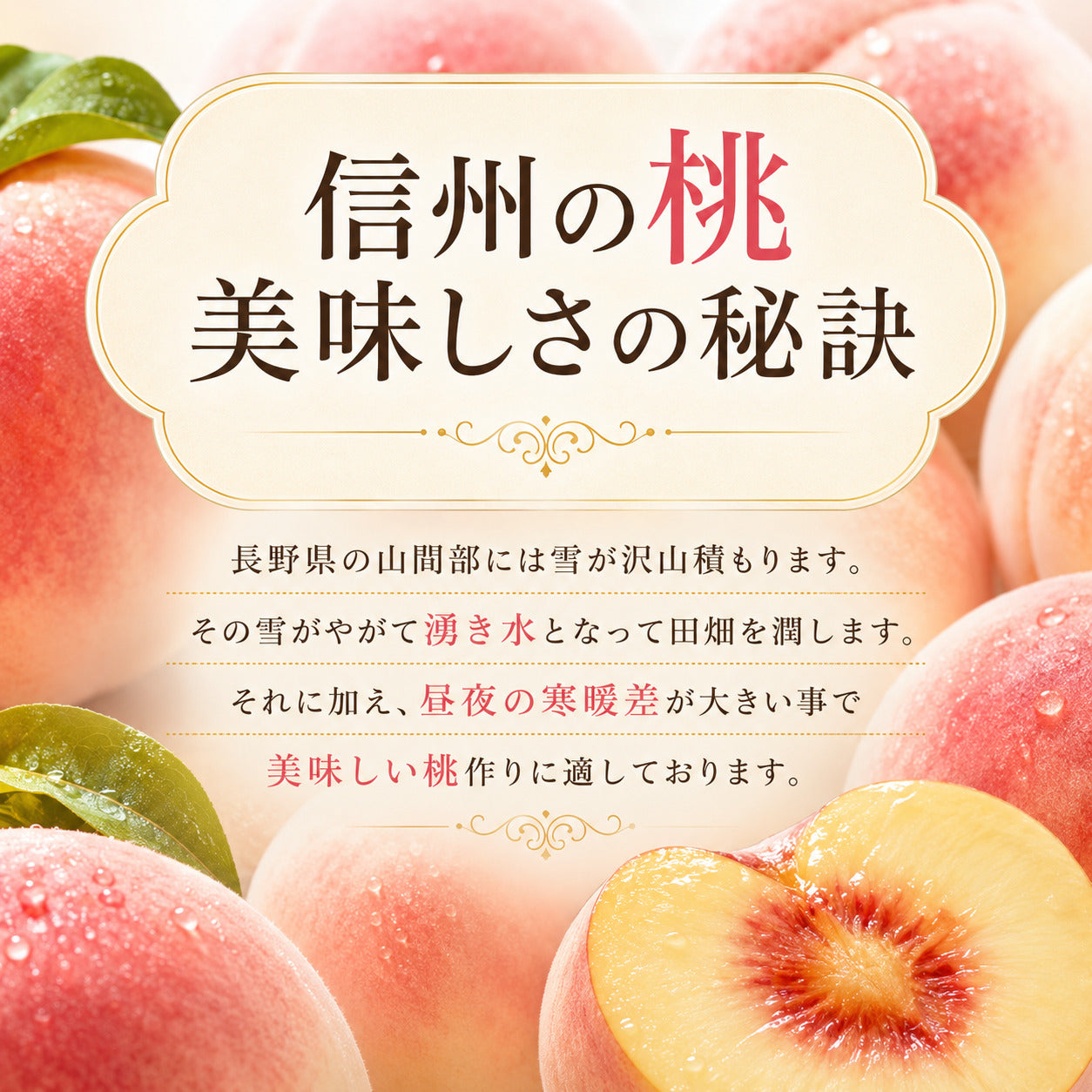 家庭用 ワッサー 信州産