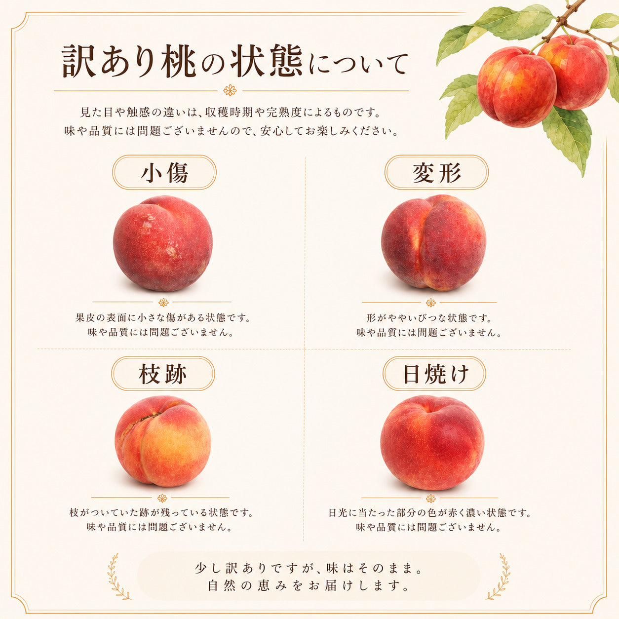 家庭用 ワッサー 信州産