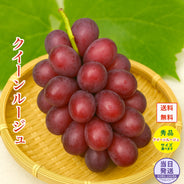 信州産 クイーンルージュ 秀品 重量お選び頂けます！