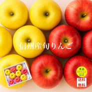 信州産　りんご食べ比べギフト
