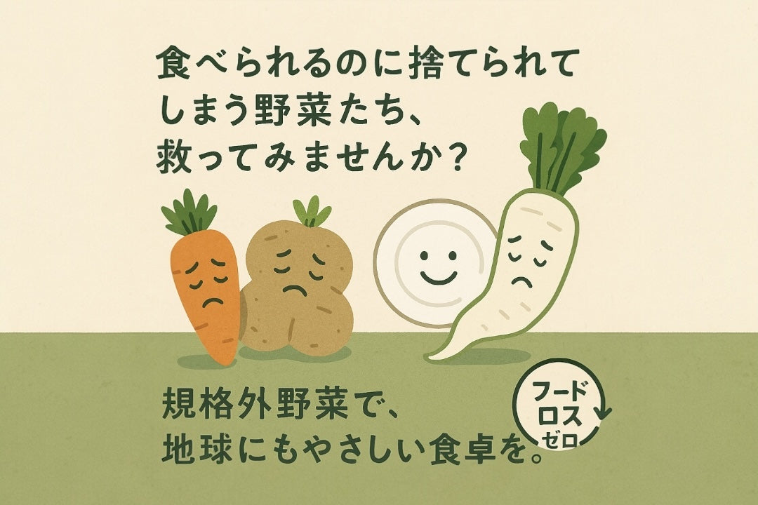 野菜ページ 楽天市場】きらきらベジ お試し 野菜セット 送料無料 宅配 健康