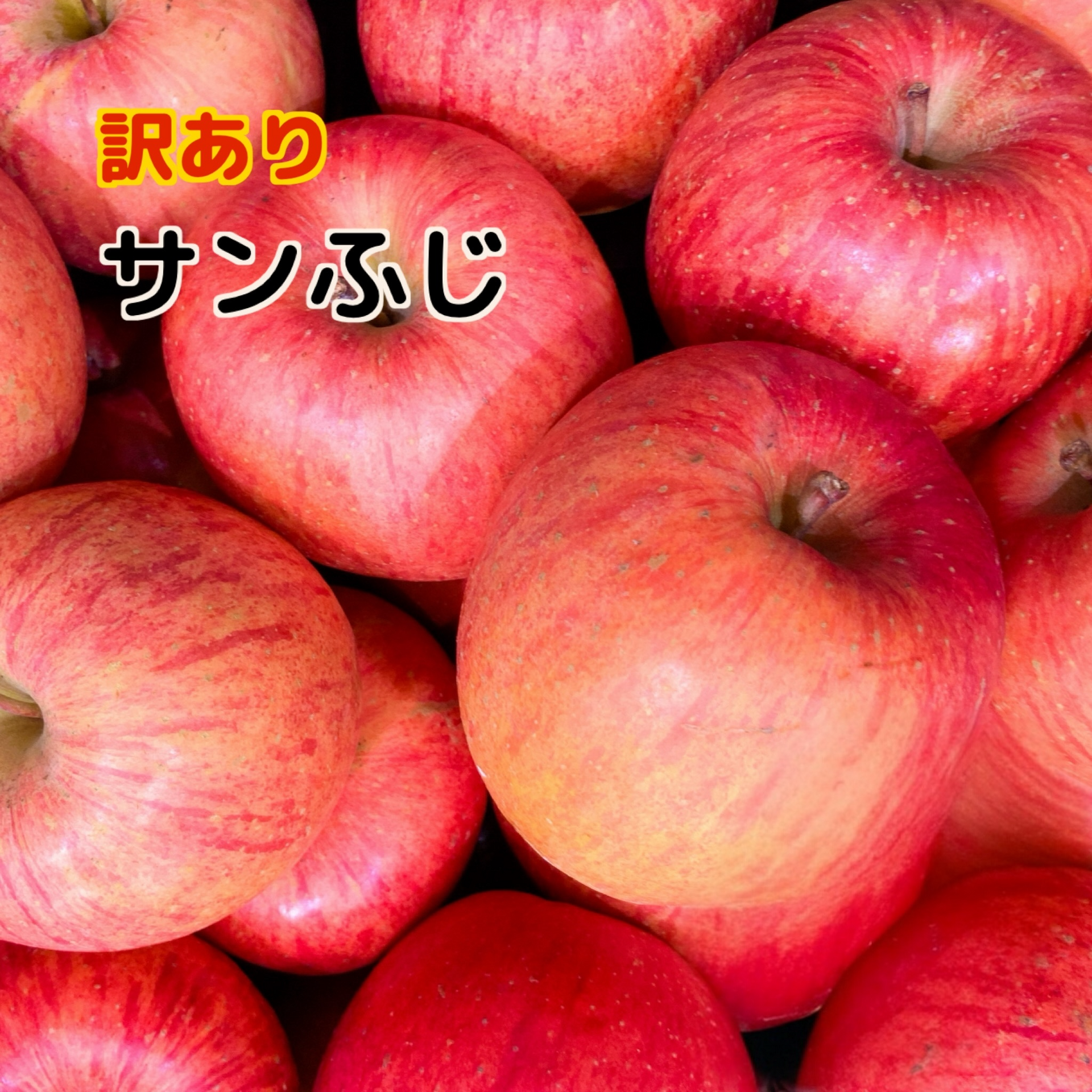 ぺこぽんページ　サンふじ　家庭用　農家直送 ご家庭用 サンふじ 重量お選び頂けます – 279