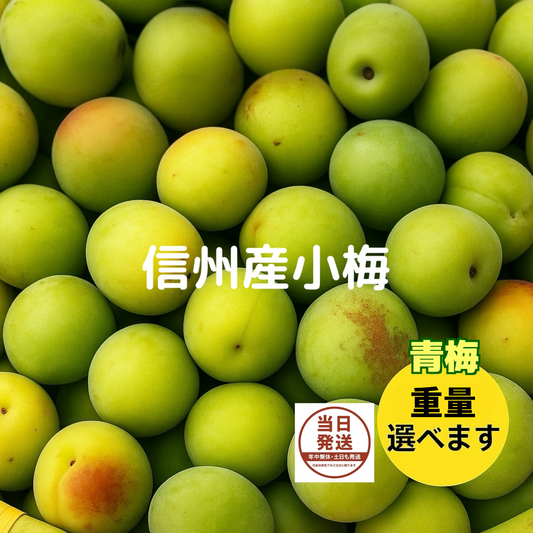 青梅 小梅 家庭用