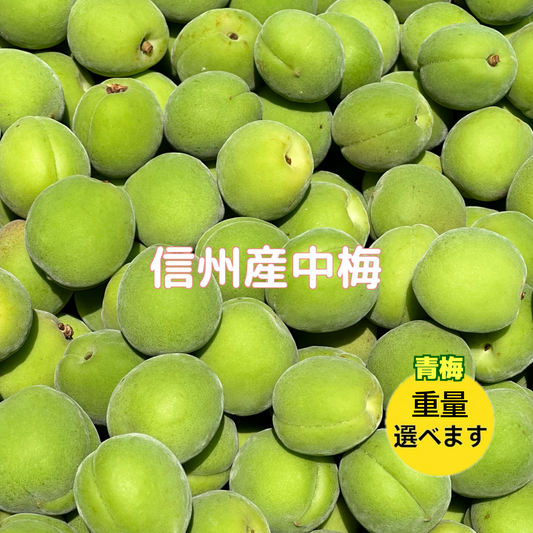 青梅 中梅 家庭用