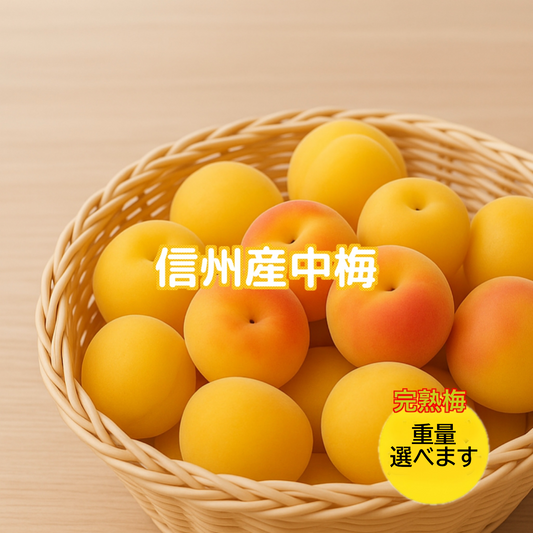 完熟梅 中梅 家庭用