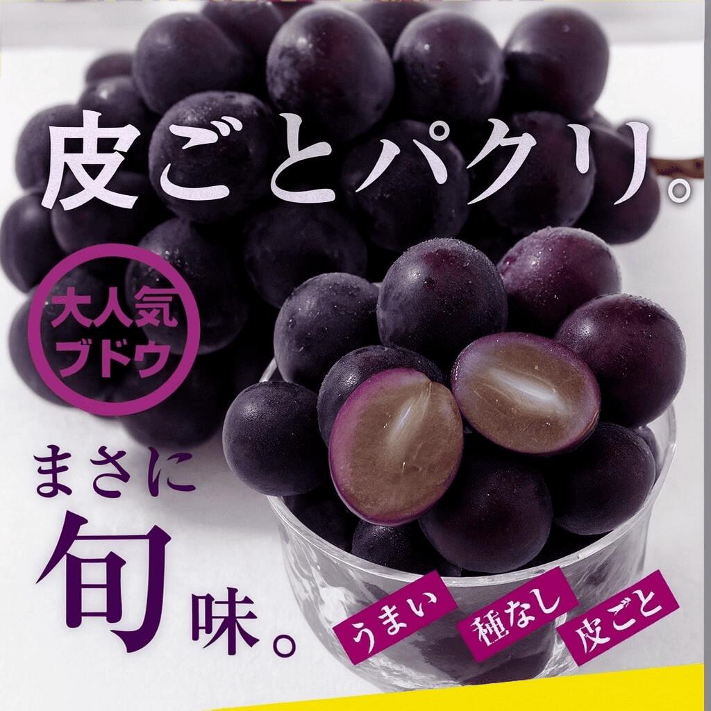 信州産ナガノパープル秀品房産地直送
