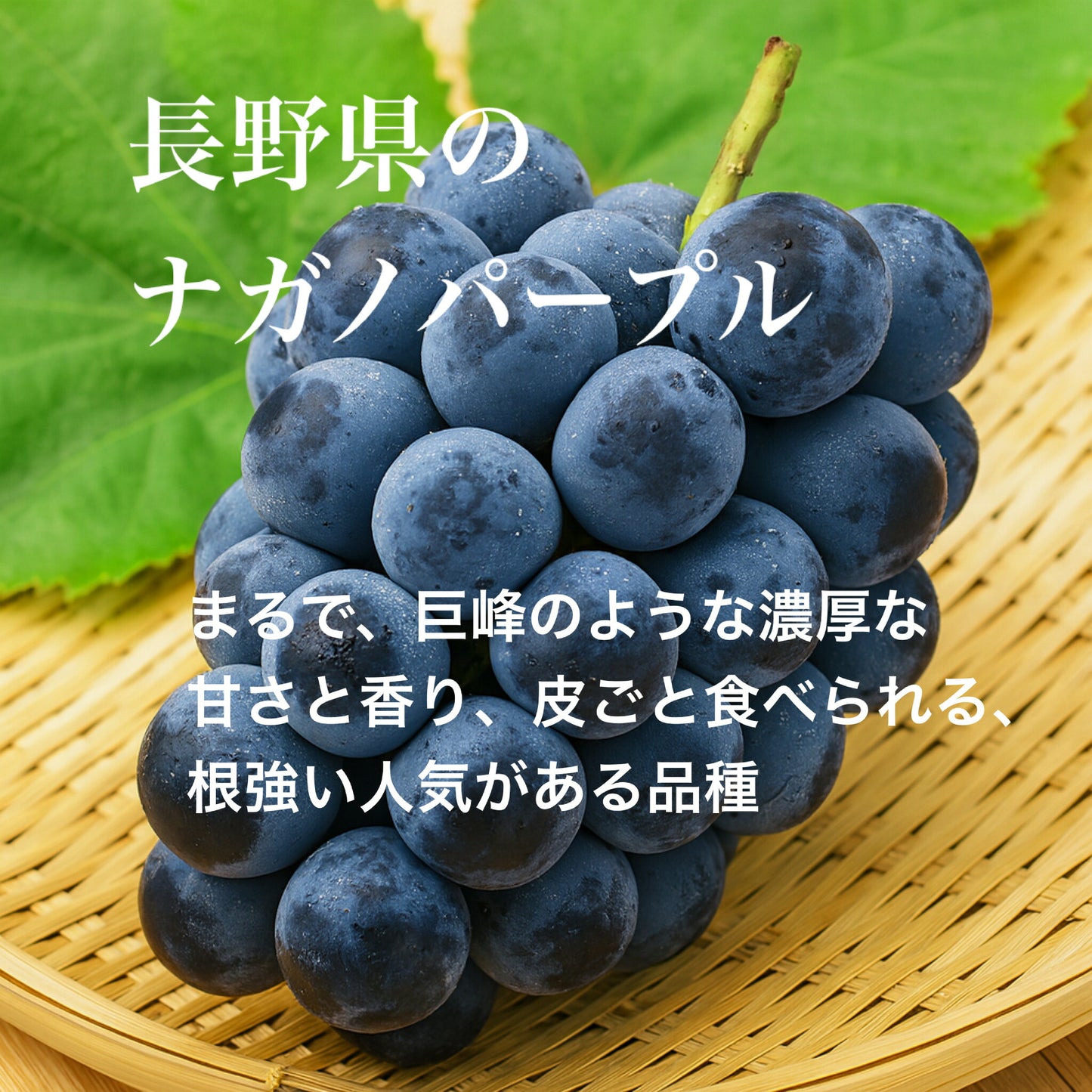 信州産ぶどう三姉妹秀品送料無料