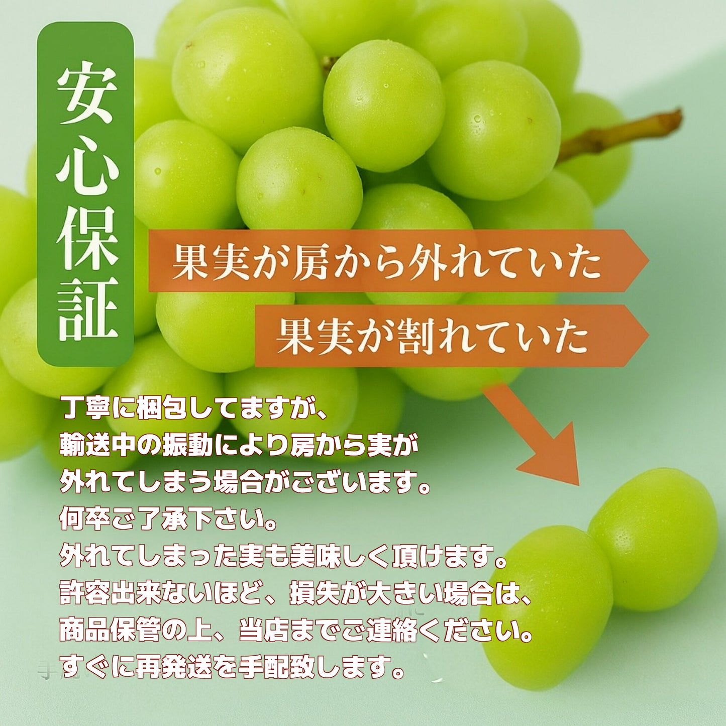 信州産ぶどう三姉妹秀品送料無料
