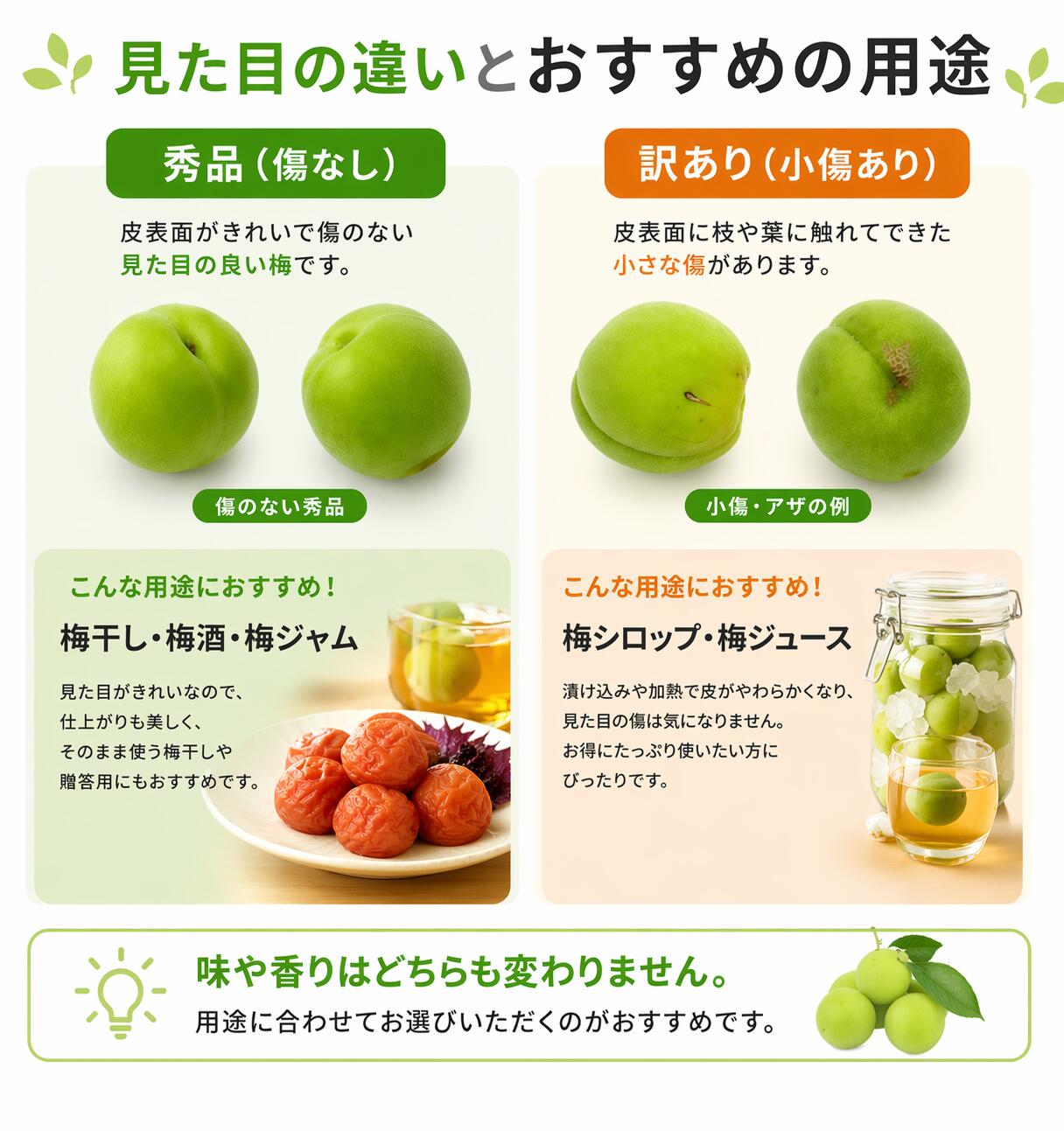 信州産 青梅 小梅 秀品