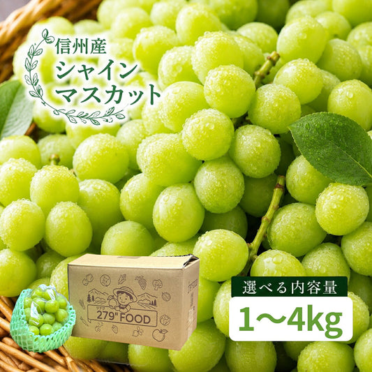 シャインマスカット秀品ぶどう信州産送料無料