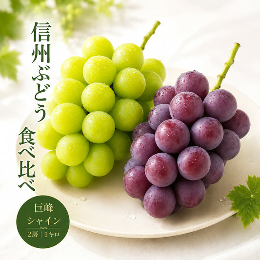 信州産シャイン巨峰食べ比べセット1キロ2房送料無料