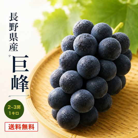 信州産巨峰秀品1キロ2~3房産地直送