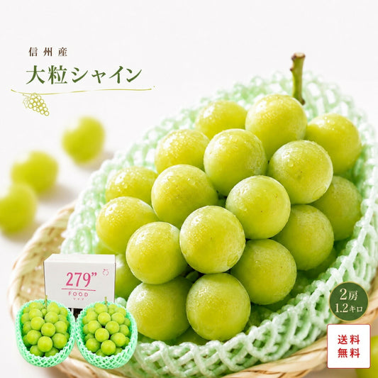 信州産大粒シャインマスカット秀品3L1キロ2房