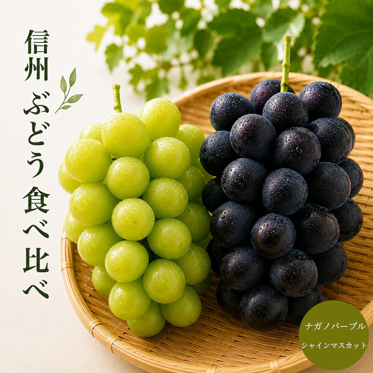 信州産シャインナガノパープル食べ比べセット秀品1キロ2房