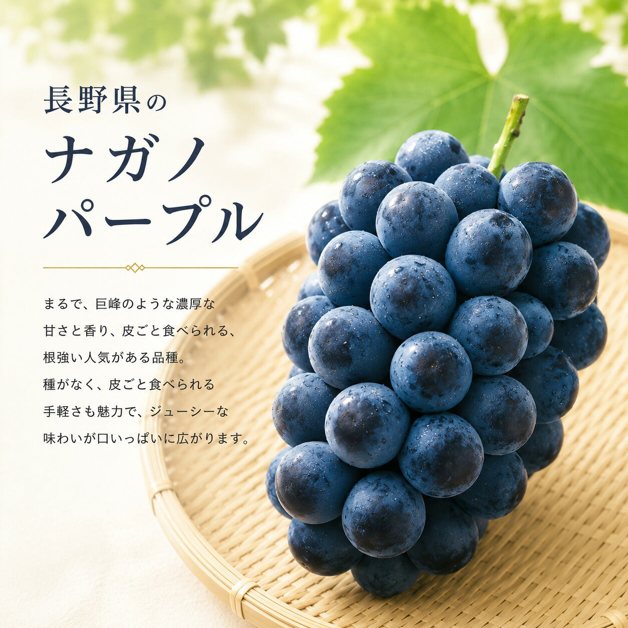 信州産シャインナガノパープル食べ比べセット秀品1キロ2房