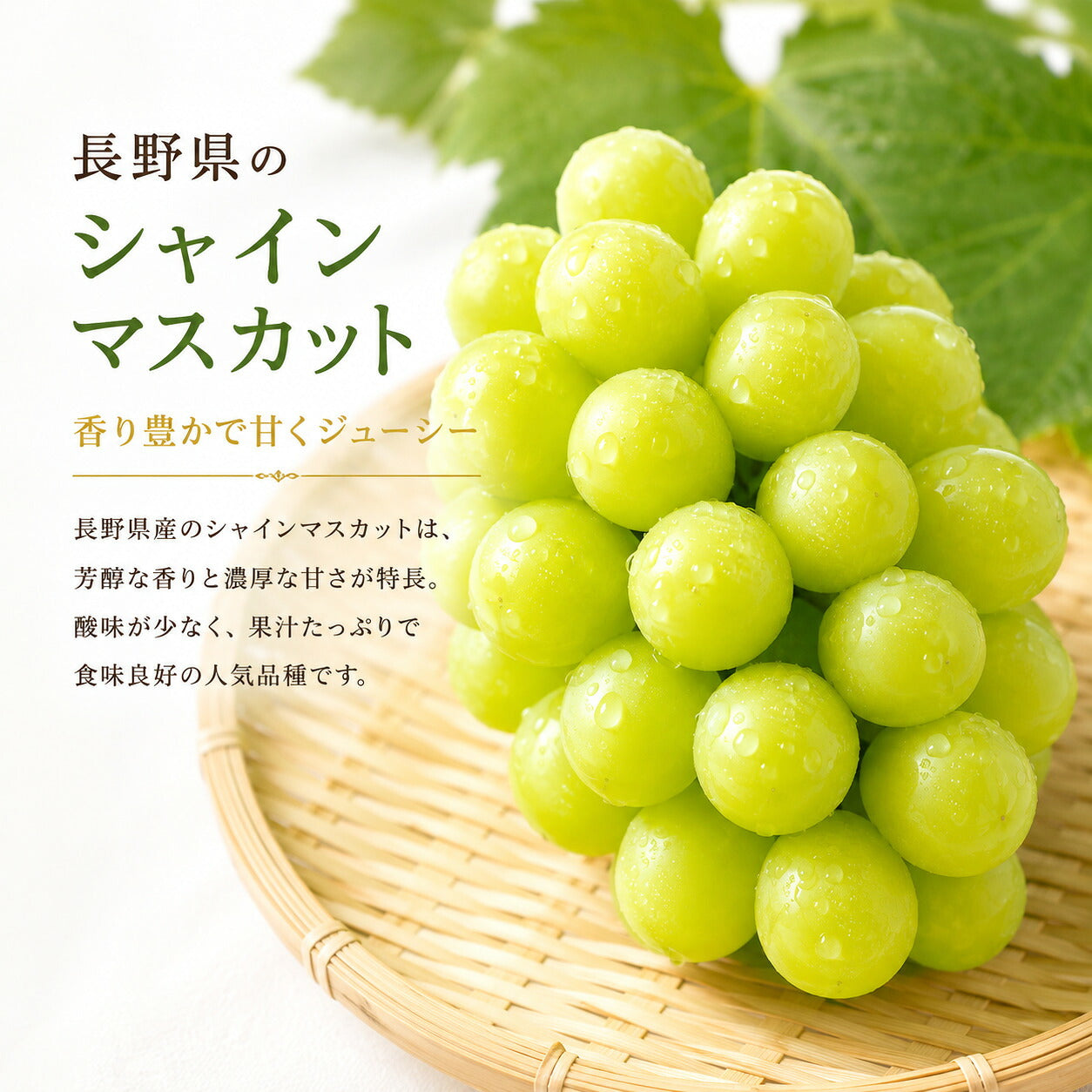 信州産シャインクイーンルージュ食べ比べセット秀品1キロ2房