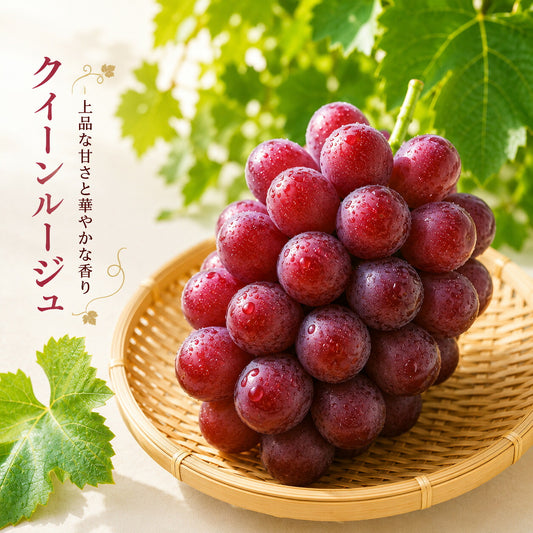 信州産クイーンルージュ2~3房1キロ秀品