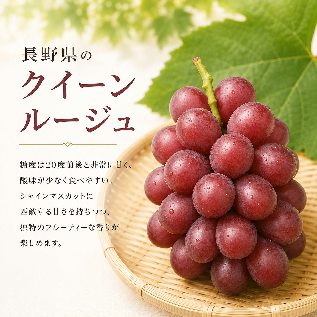 信州産クイーンルージュ2~3房1キロ秀品