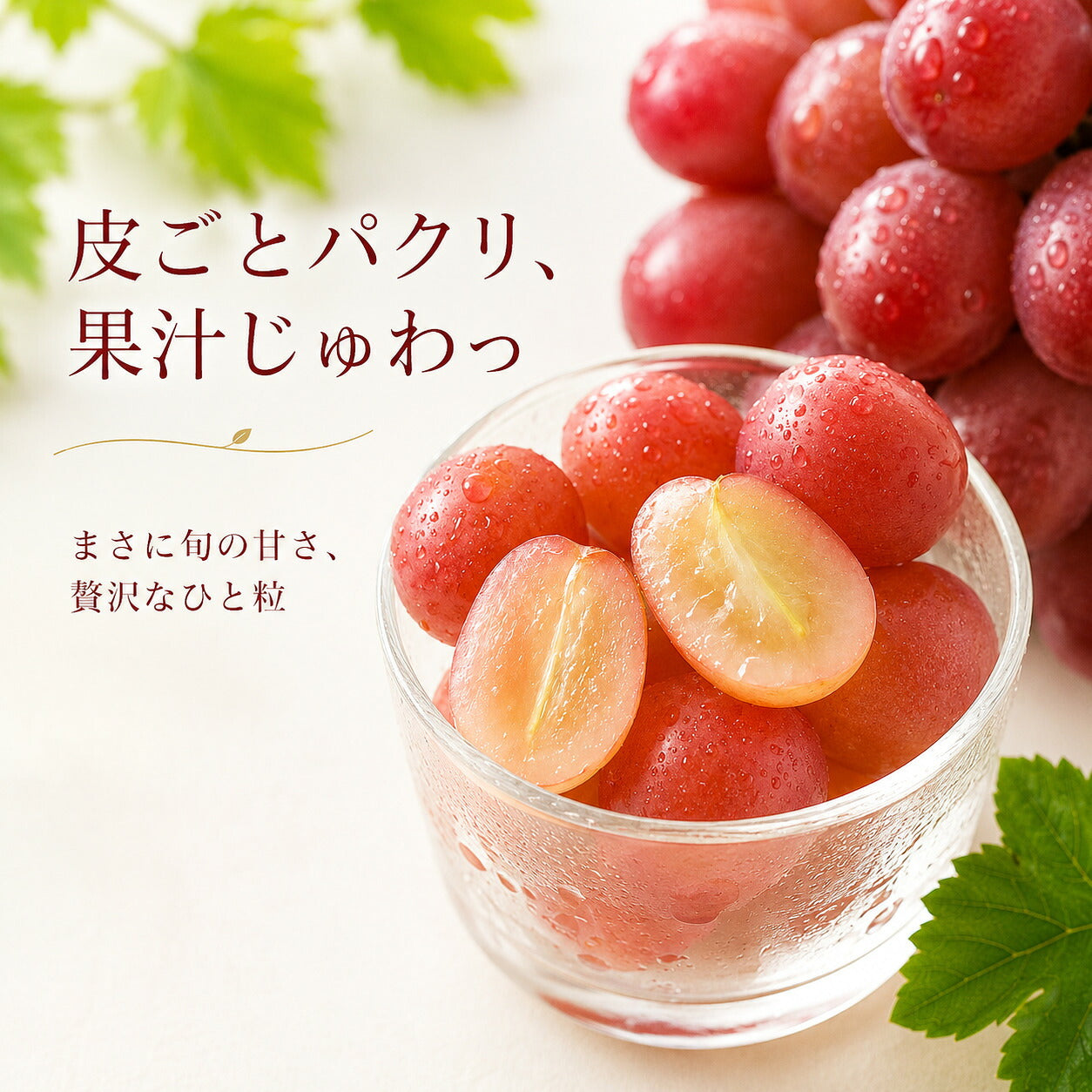 信州産クイーンルージュ秀品送料無料