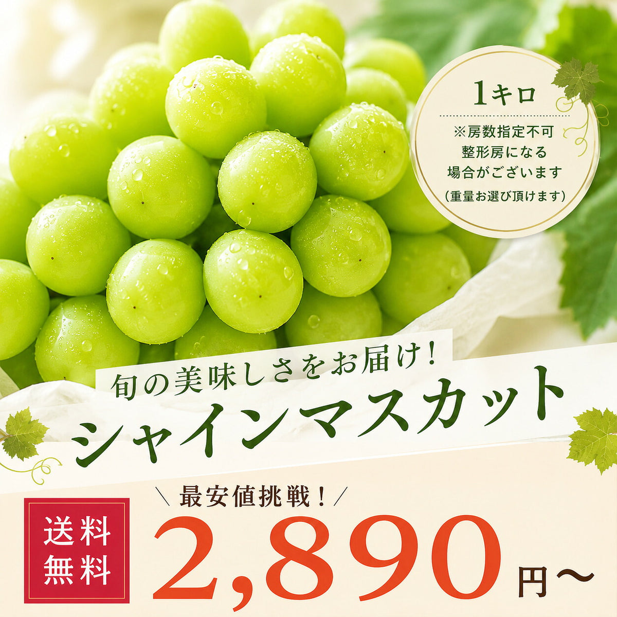 信州産訳ありシャインマスカットぶどう家庭用自家消費送料無料