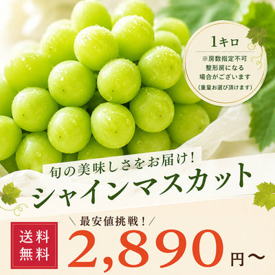 信州産訳ありシャインマスカットぶどう家庭用自家消費送料無料