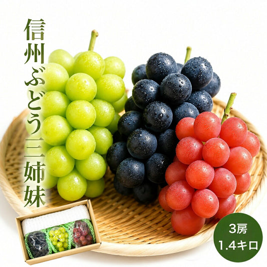 信州産 ぶどう三姉妹 3房 1.4キロ 秀品 送料無料 シャインマスカット ナガノパープル クイーンルージュ のし対応