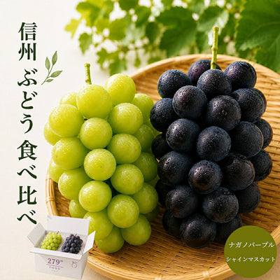 信州産 シャイン ナガノパープル 食べ比べセット 秀品 1キロ 2房 送料無料 のし対応