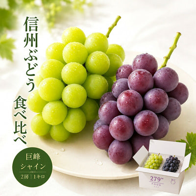 信州産 シャインマスカット 巨峰 食べ比べ 1キロ2房 送料無料