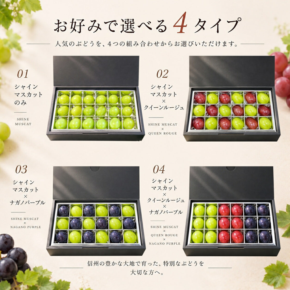 信州ぶどう宝石箱18粒食べ比べギフト