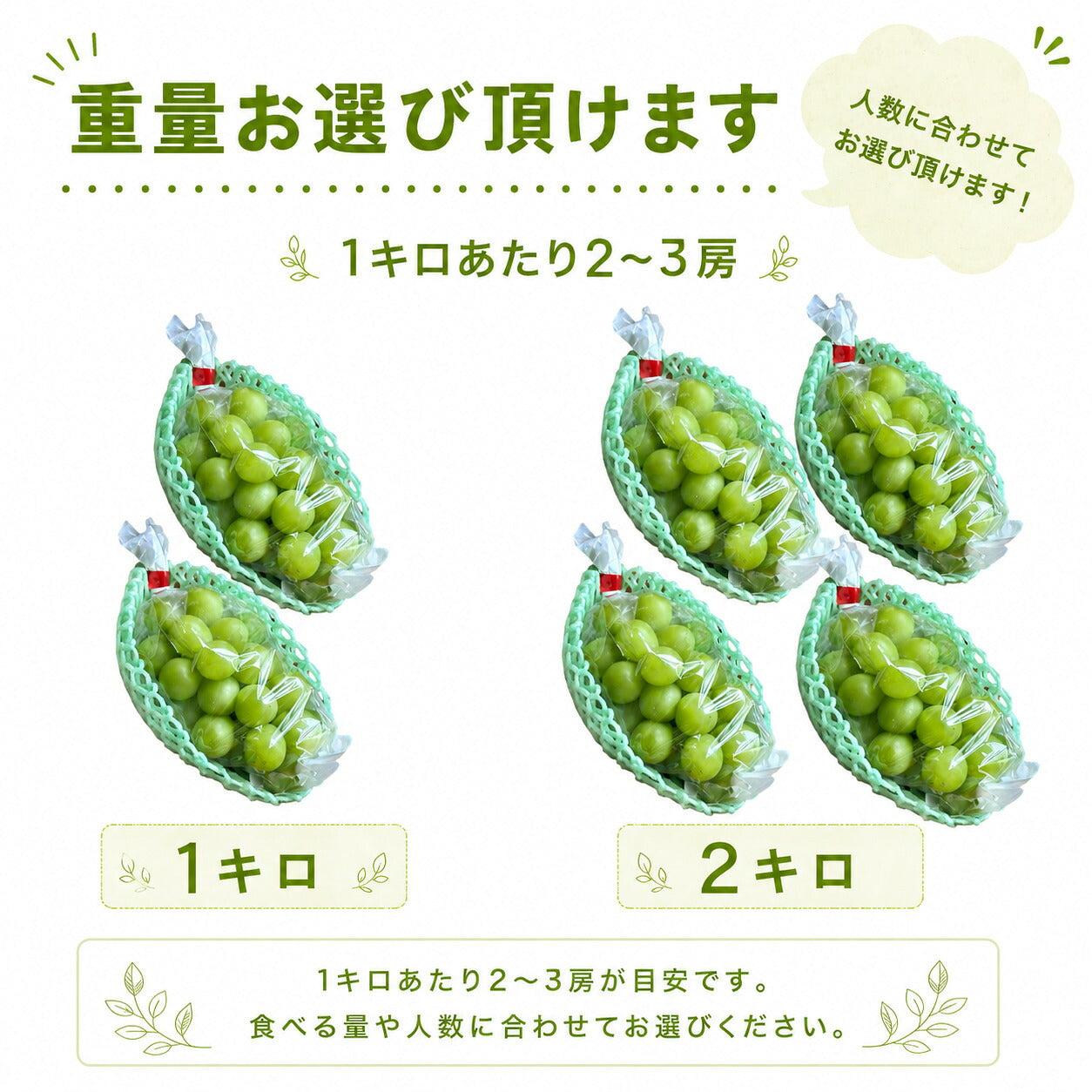 シャインマスカットぶどう信州産送料無料内容量選べます！