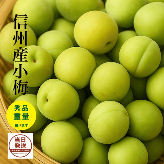 青梅 小梅 贈答用