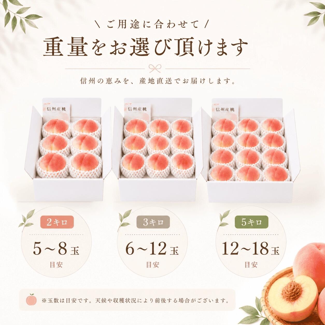 家庭用 ワッサー 信州産