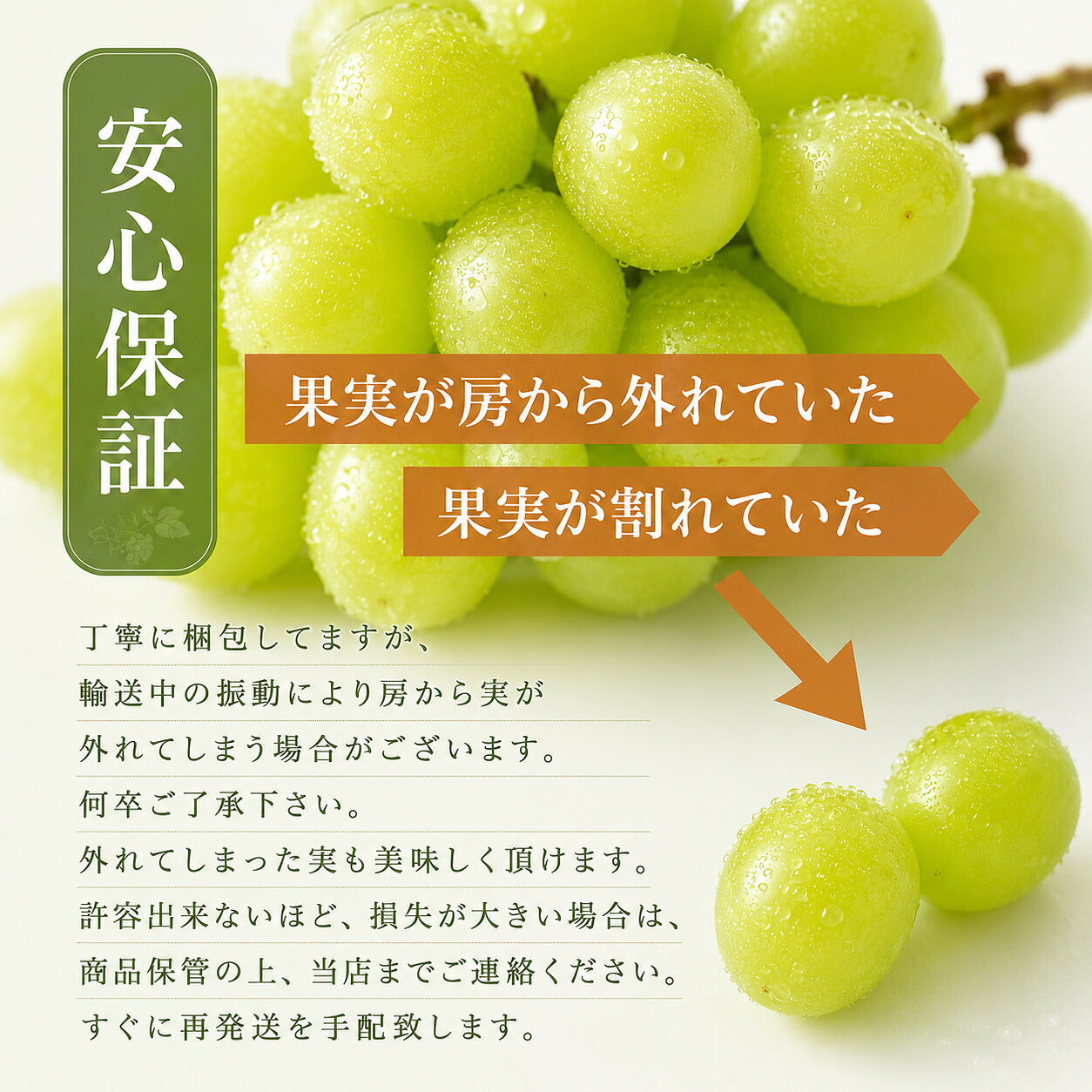 信州産シャインクイーンルージュ食べ比べセット秀品1キロ2房送料無料のし対応