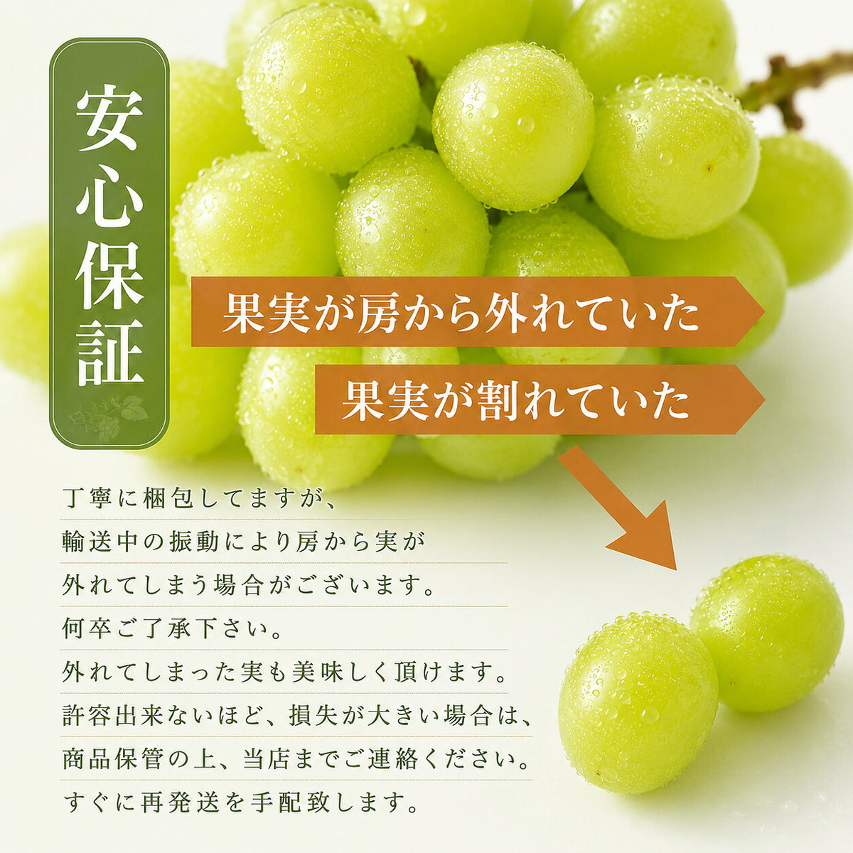 信州産訳ありシャインマスカットぶどう家庭用自家消費送料無料