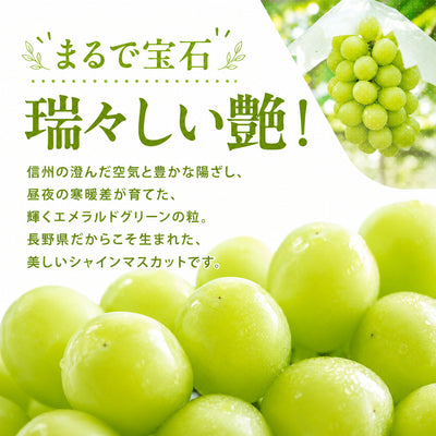 シャインマスカット秀品ぶどう信州産送料無料