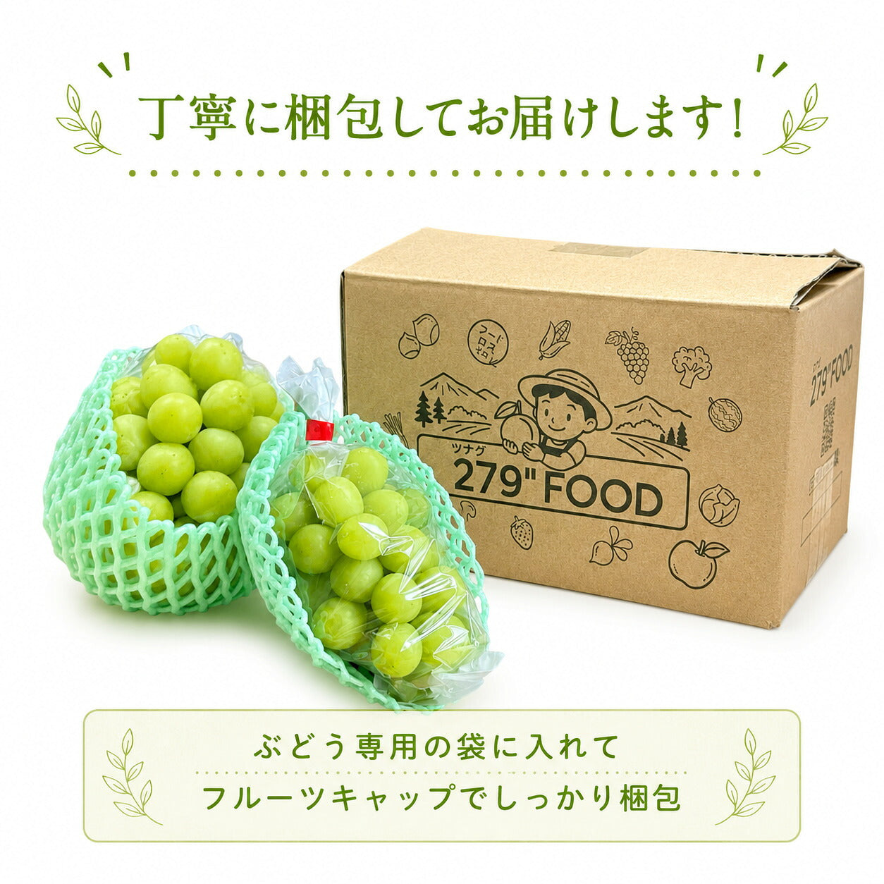 シャインマスカット秀品ぶどう信州産送料無料