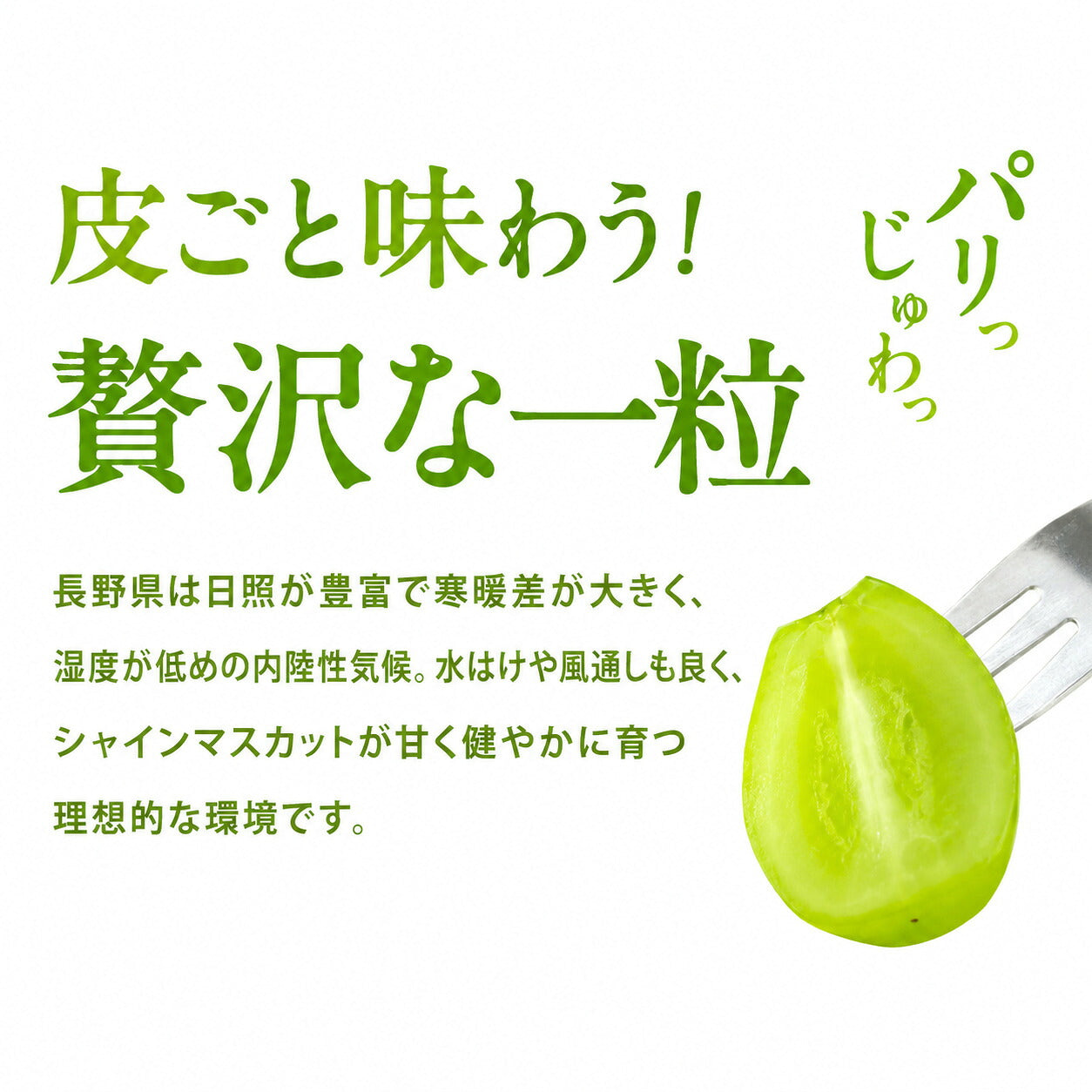 信州産シャインマスカット秀品